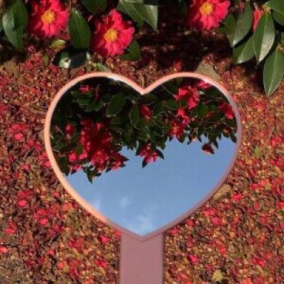 台湾福星彩下载手机版