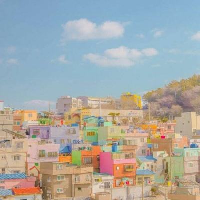 金沙直播app下载截图