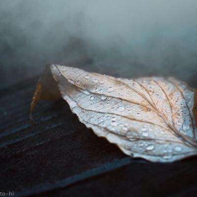 IM体育官方网站